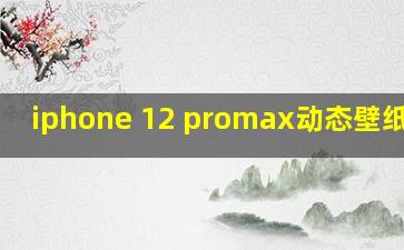 iphone 12 promax动态壁纸不动